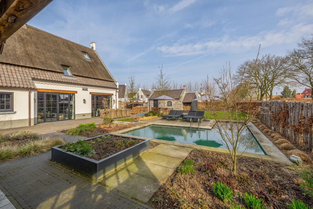 Foto 71 1000w