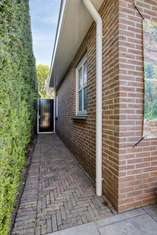 Foto 41 1000w