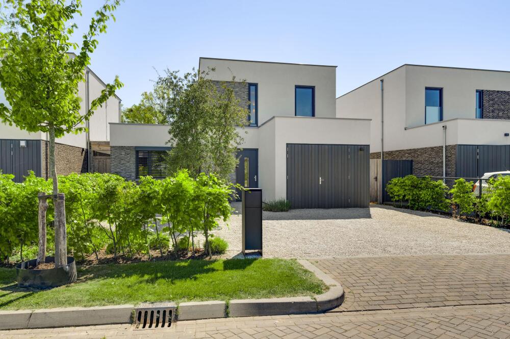 Foto 4 1000w