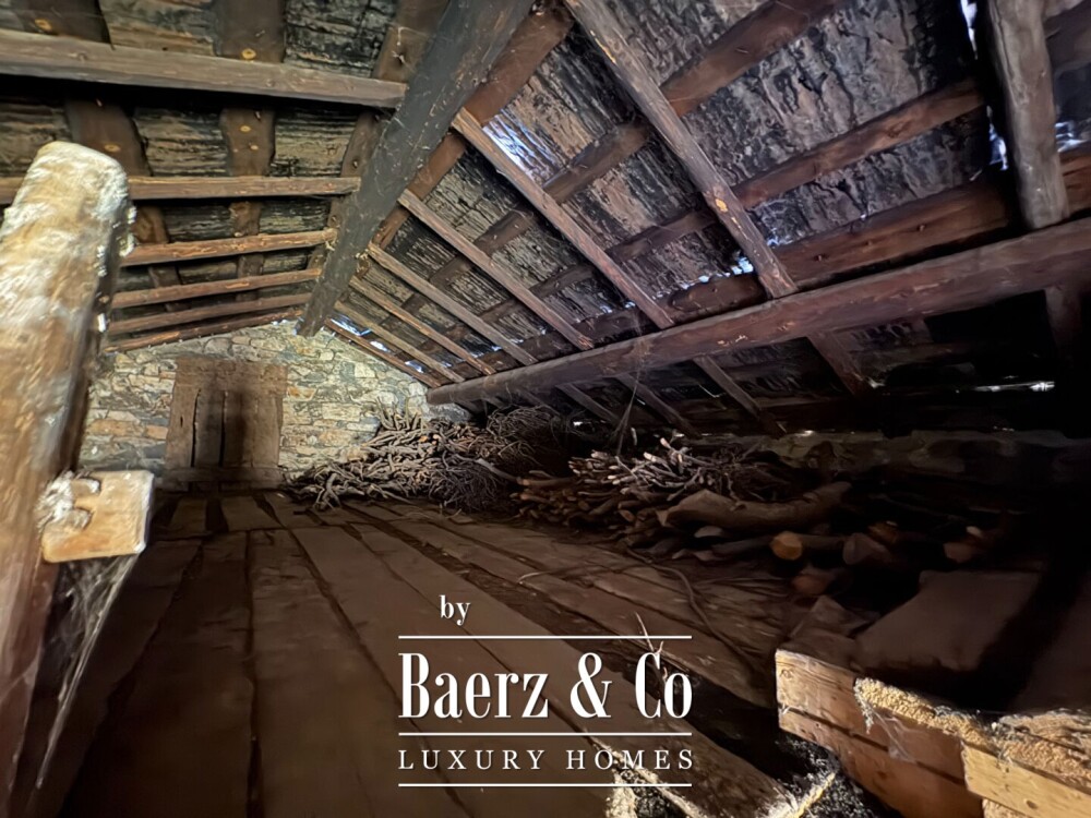 Foto 7 1000w