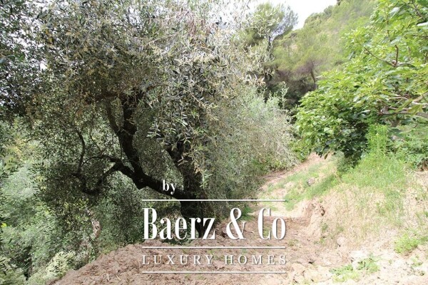 photo 21 Villa for sale 350 m²