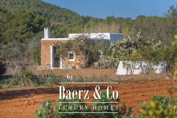 photo 5 Beautiful luxury home in San Mateo, San Mateo