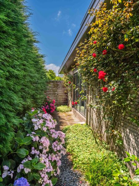 photo 35 Wilgenlaan 12