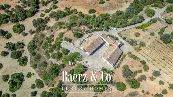 photo 37 Beautiful luxury home in São Brás de Alportel, Countryside