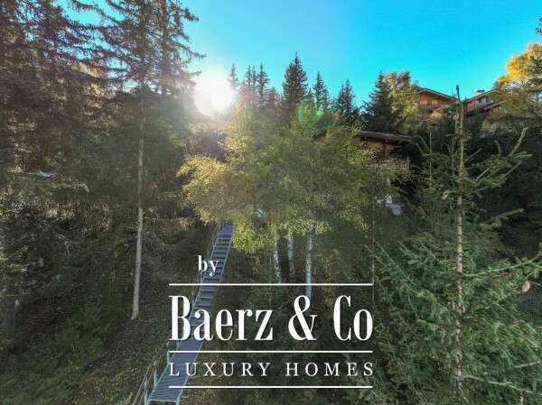 photo 9 Land with planning permission for detached chalet