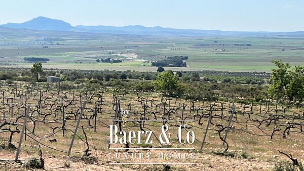 photo 34 Beautiful luxury home in Yecla