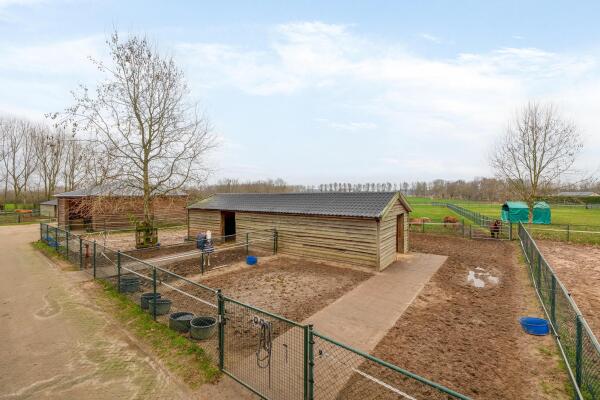 photo 38 Diepestraat 4