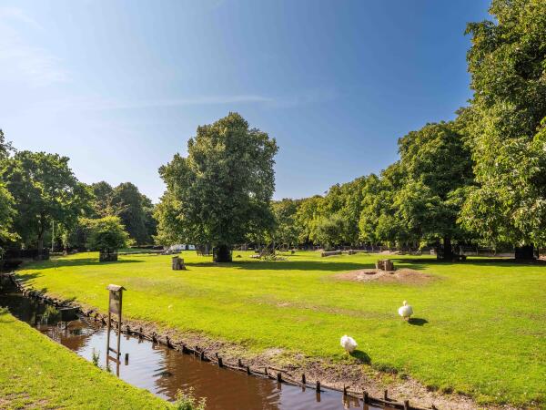 photo 37 Kastanjelaan 4