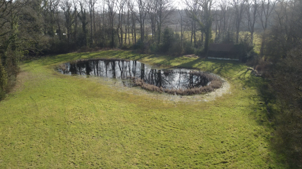 photo 7 Bastinglaan 20 0 ong