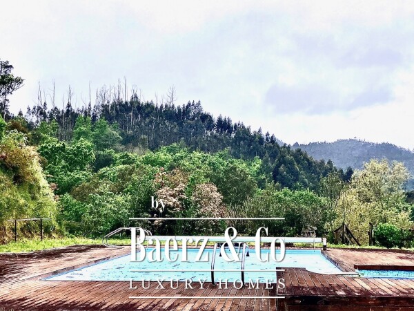 photo 4 Wonderful farm near the Vouga River