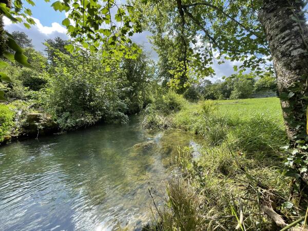 photo 10 Chateau de Faverolles 