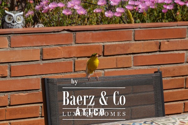 photo 10 Penthouse for sale in Sant Gervasi - Galvany