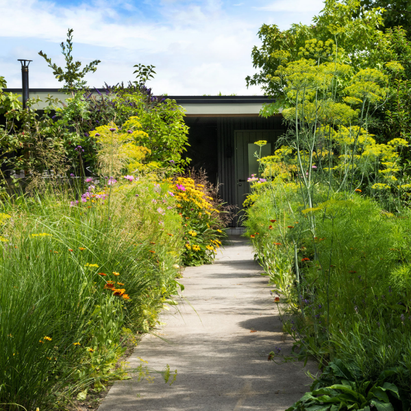 photo 25 Groene Hof 3