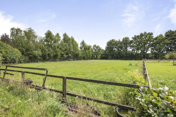 photo 88 Dennendijk 6