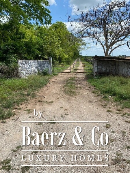 photo 28 Street 24 x 29 