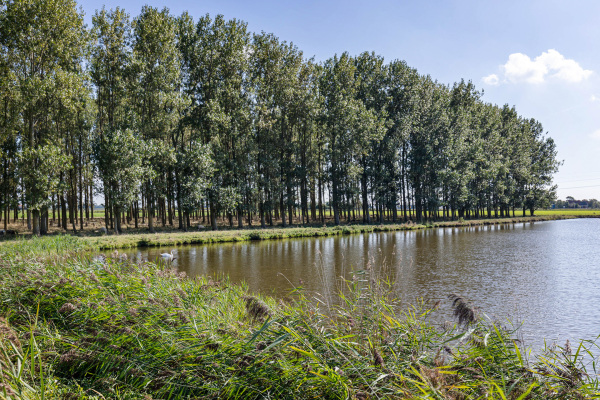 photo 68 Dyksfeart 22