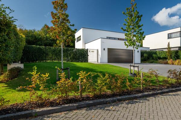 photo 47 Koningskaars 20