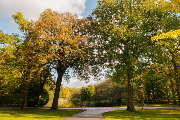 photo 40 Van Ommerenlaan 22