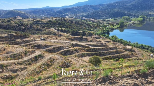 photo 17 Douro Riverfront Almond Estate