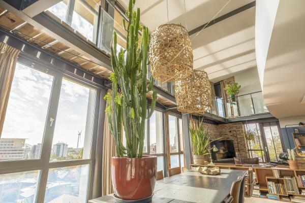 photo 11 Solisplein 61