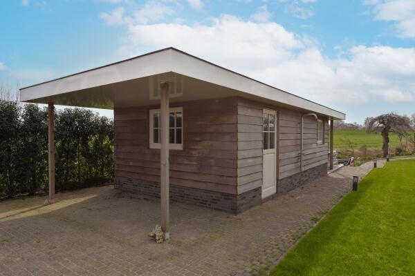 photo 46 Timotheegras 13