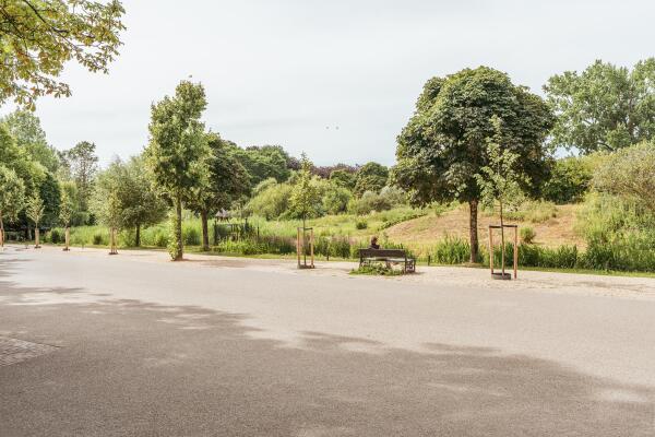 photo 36 Tesselschadestraat 31 H