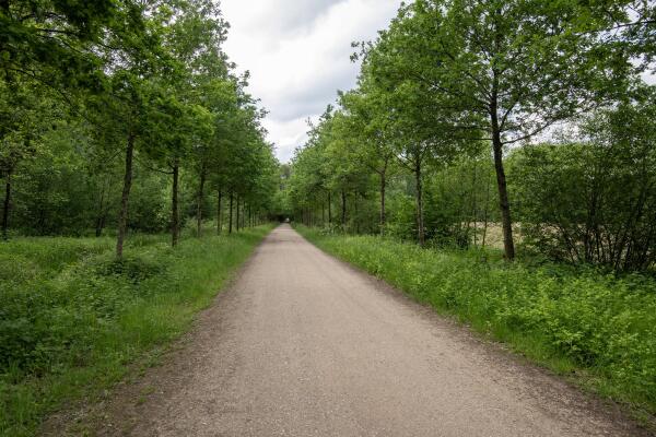 photo 86 Heerenbeek 1