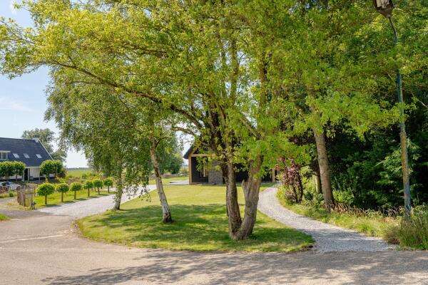 photo 41 Waver 51 A