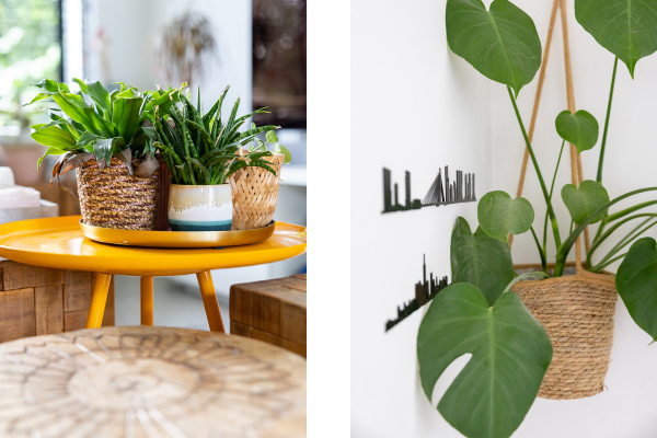 photo 14 Rottekade 167