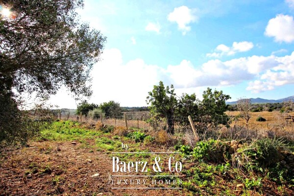 photo 3 Beautiful luxury home in Manacor, Cala Murada