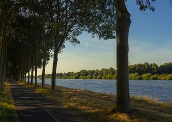 DIEMEN