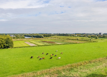 ZWAANSHOEK